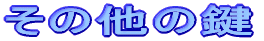 ���̑��̌�